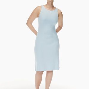 Aritzia Fauna dress